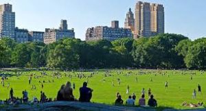 Central Park, one of the top places in New York.